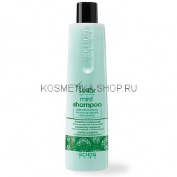 Ментоловый шампунь для частого применения Echosline Mint Shampoo 350 мл