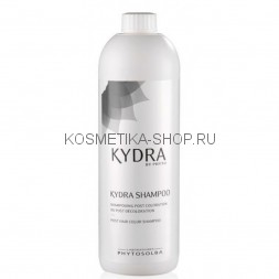 KYDRA Post Hair Color Shampoo Технический шампунь для окрашенных и блондированных волос 1000 мл